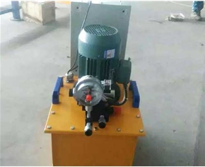 河南标准电动泵供应生产